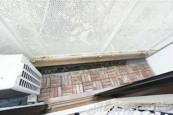 レリーサ真上の物件内観写真